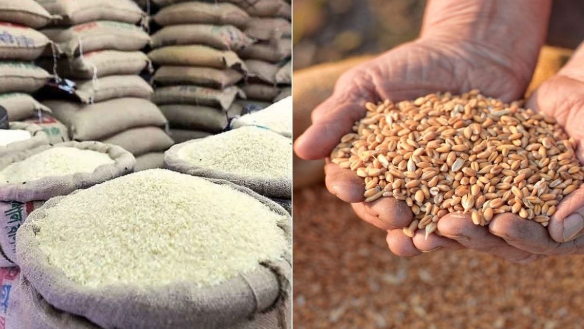 घर पर बना खाना क्यों दे रहा बीमारी को न्योता? चावल-गेहूं कैसे बने खतरे की घंटी? पढ़िये चौंकाने वाली रिपोर्ट